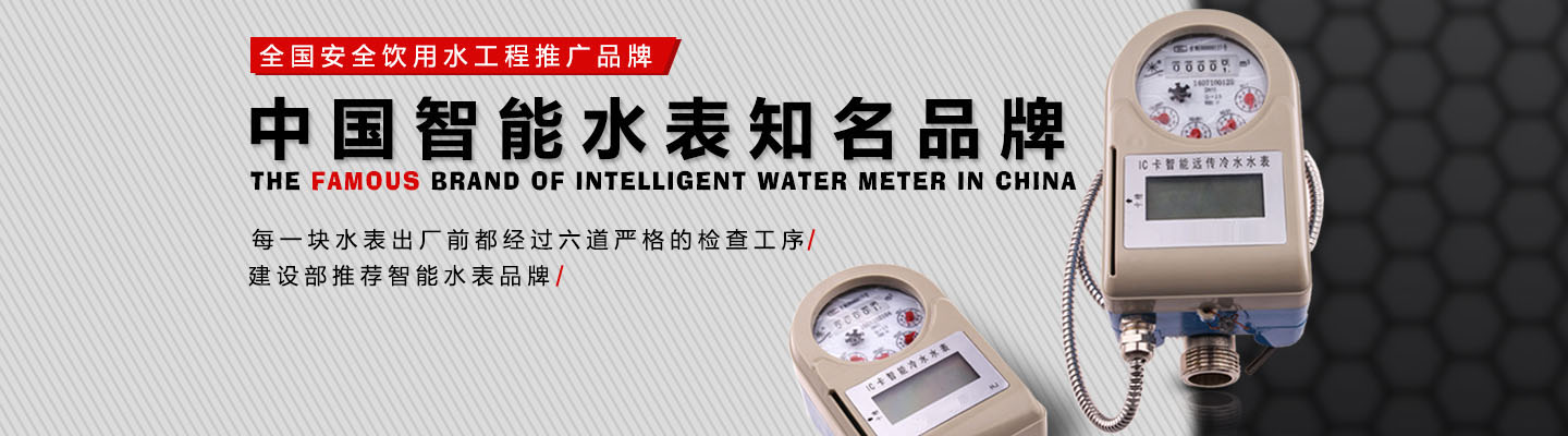 成都智能水表